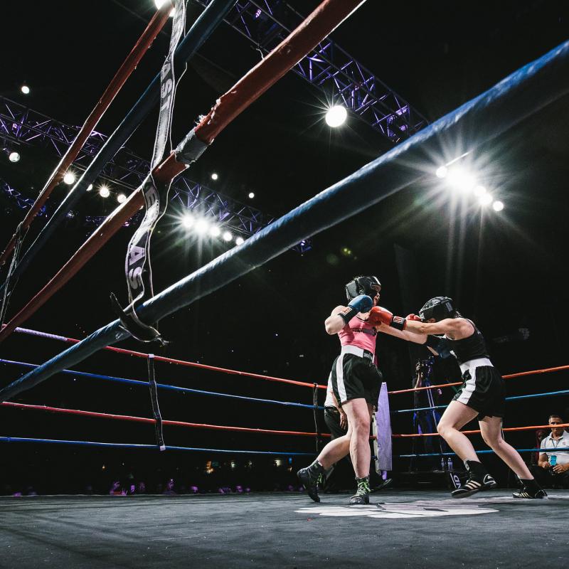 Belles of the Brawl '17