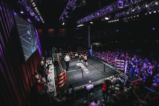 Fight Night